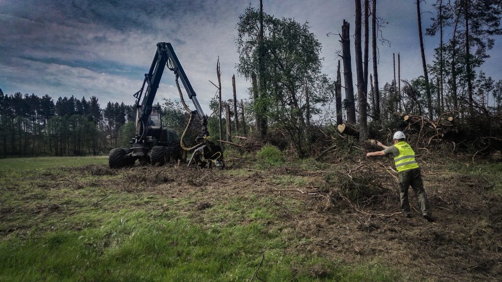 Na pierwszym planie znajduje się pracownik służby leśnej w kasku i kamizelce odblaskowej, skupiony na swojej pracy. W głębi widać harwestera stojącego przy ścianie lasu dotkniętego szkodami od wiatru, co nadaje zdjęciu surowy, roboczy charakter.