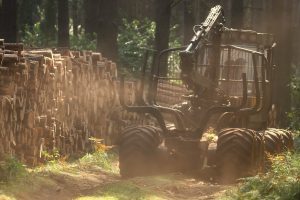 Na zdjęciu widać forwarder, czyli specjalistyczną maszynę zrywkową, która odjeżdża od ułożonego stosu. Sceneria letnia, słońce przebija przez korony drzew, światło załamuje się na wzbijanym przez maszynę kurzu.