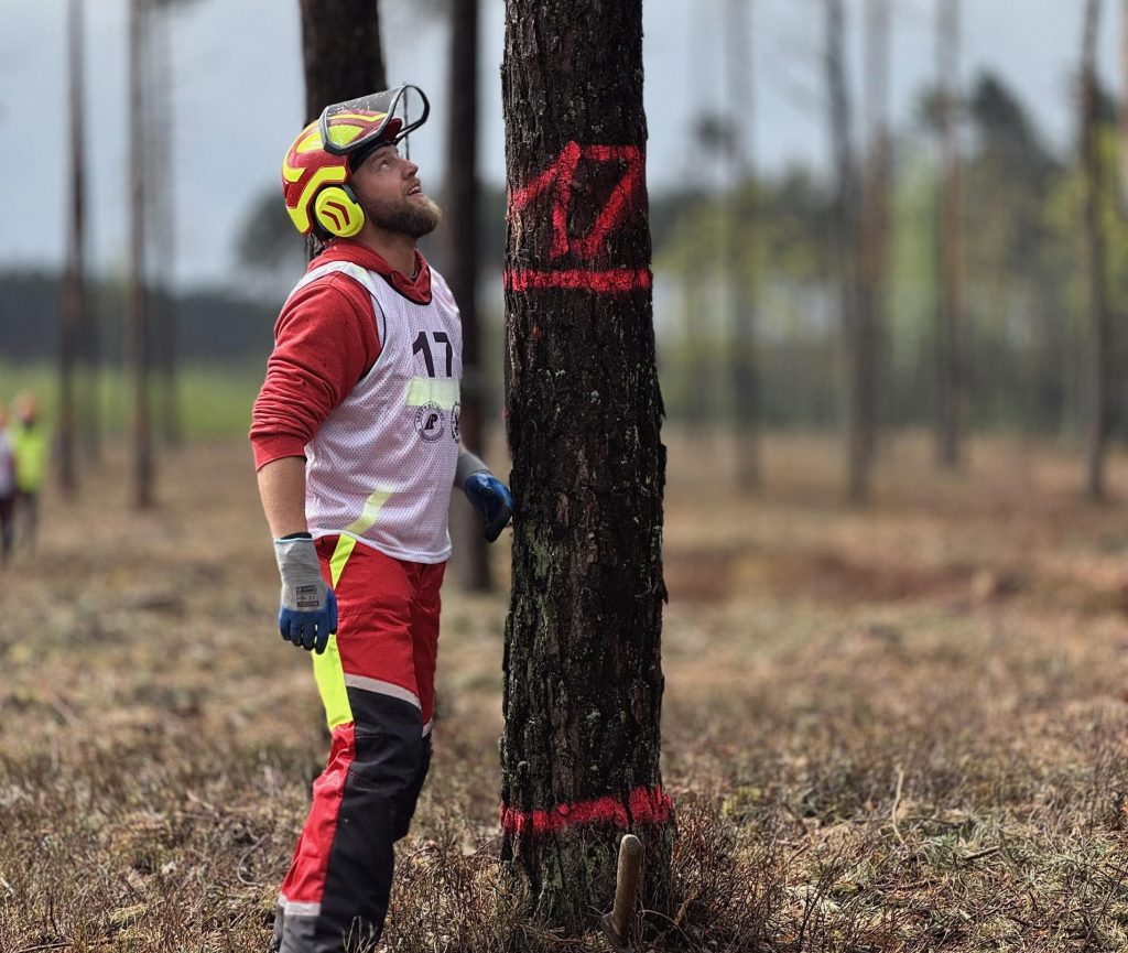 Na zdjęciu widzimy drwala w odzieży ochronnej, kamizelce i kasku, stojącego przy pniu drzewa. Mężczyzna przygotowuje się do ścinki. otoczenia