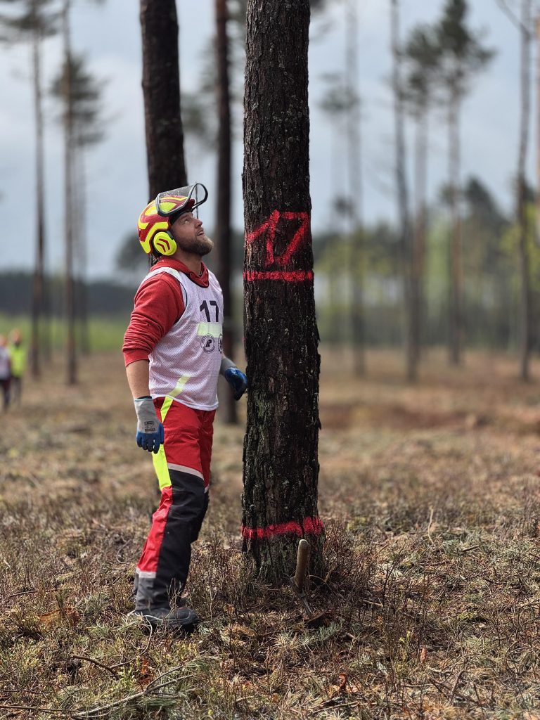 Na zdjęciu widzimy zawodnika z numerem 17, który przymierza się do pierwszej konkurencji - ścinka drzewa stojącego.