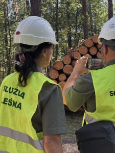 Na zdjęciu widać dwóch pracowników Służby Leśnej. Znajdują się oni w lesie, przed stosem drewna i wykonują pomiar miąższości drewna metodą fotooptyczną.